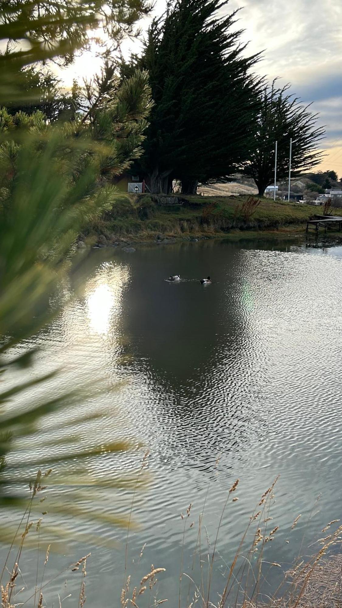 Hospedaje Isla Magdalena Punta Arenas Dış mekan fotoğraf